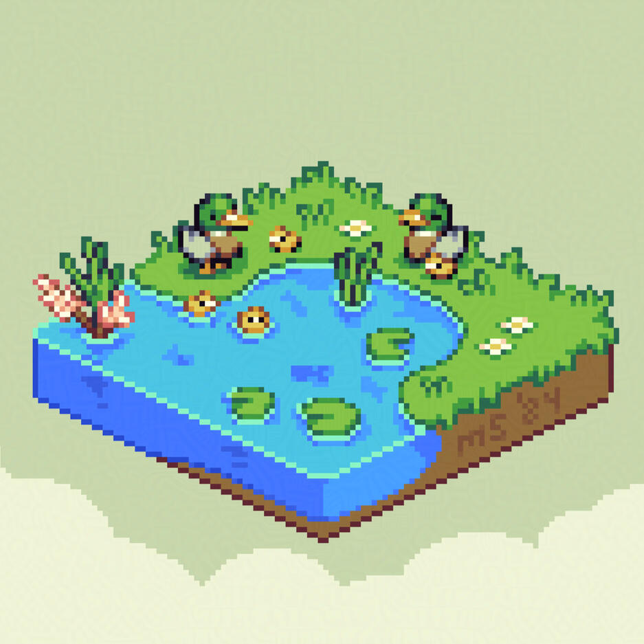 Tiny Duck Pond